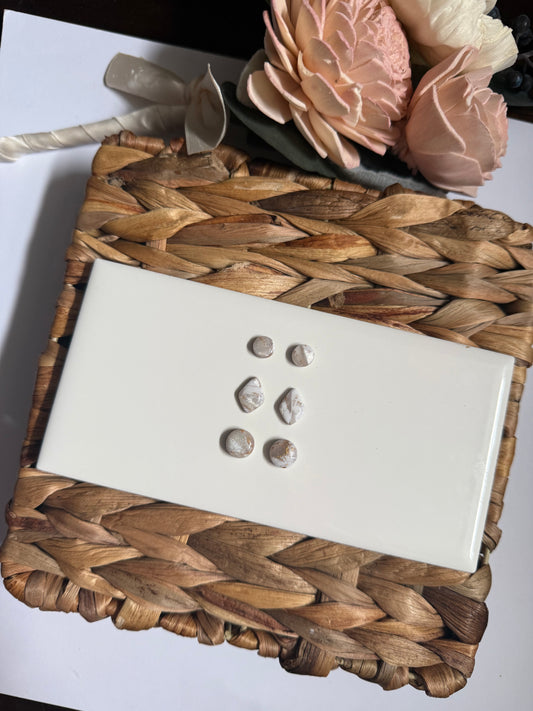 Signature Marble Stud Pack